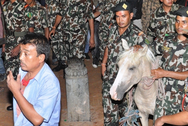 भक्तपुरमा सेतो घोडा जात्रा