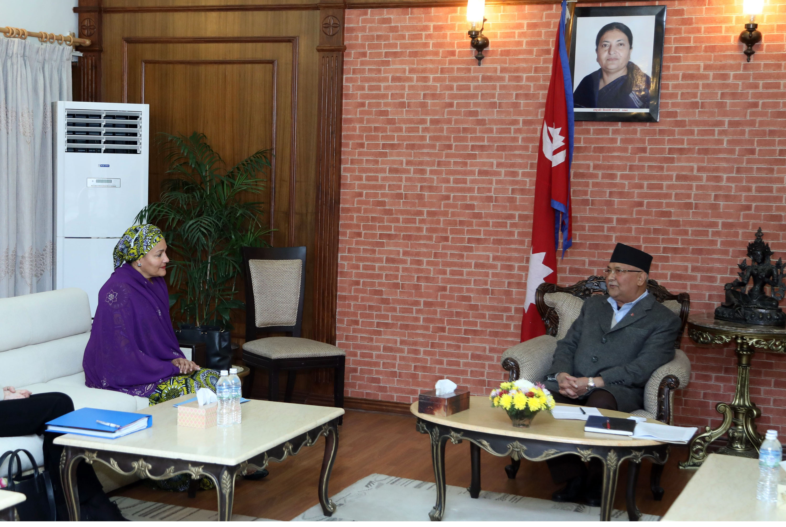 प्रधानमन्त्री ओलीसँग युएनका उपमहासचिवको शिष्टाचार भेट