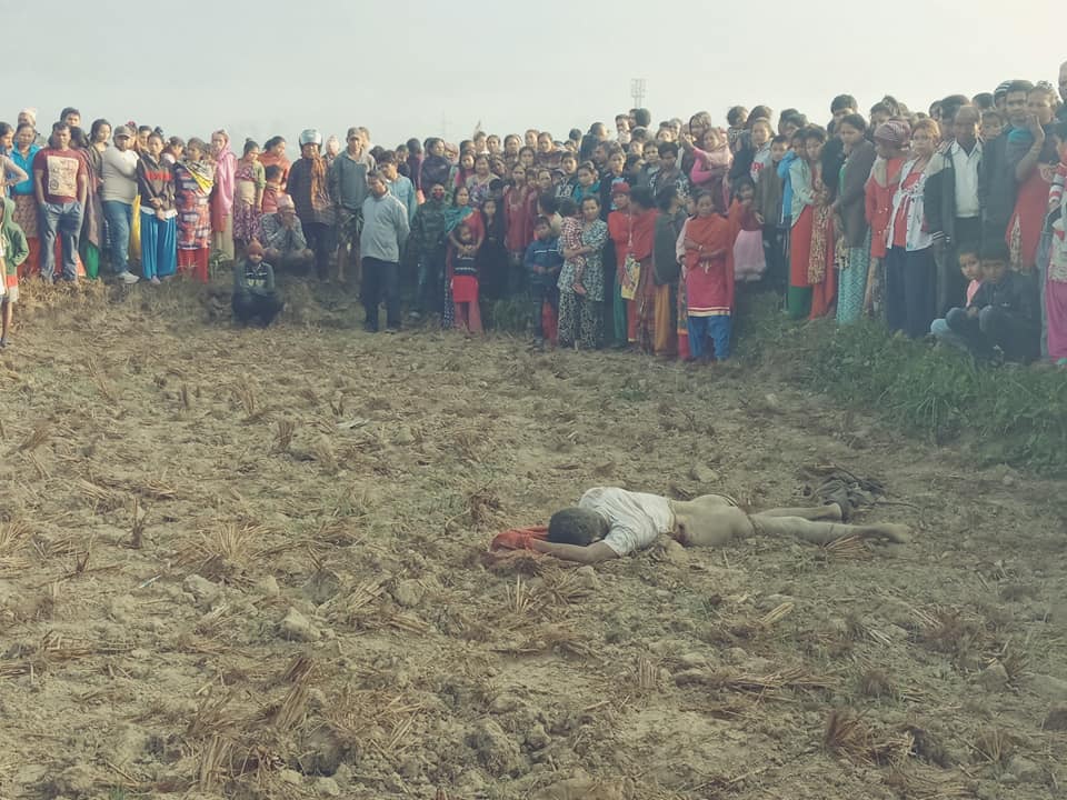 जंगली हात्तीको आक्रमणबाट राईको मुत्यु