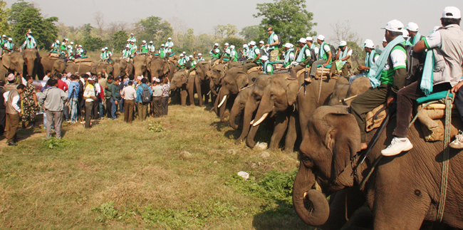 गैँडा गणना गर्ने तयारी
