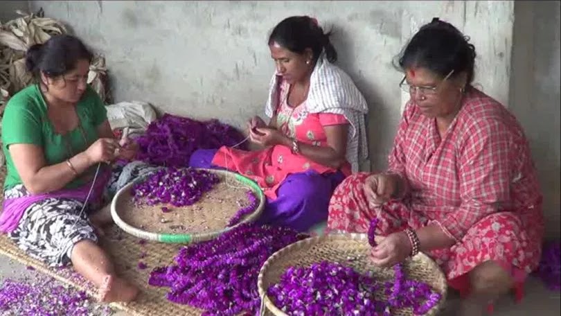 माला गाँस्न र बजार लैजान चटारो