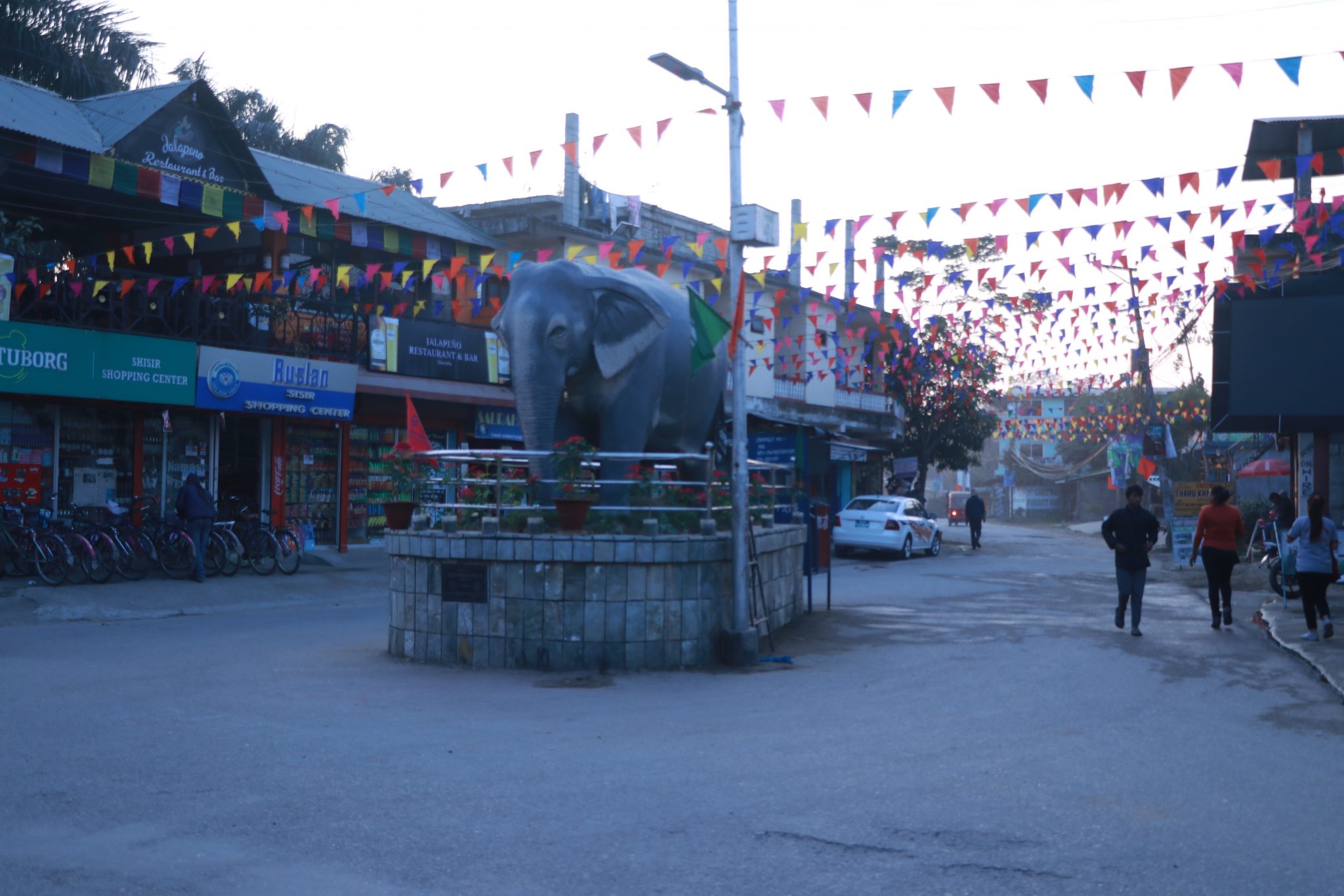 हात्ती महोत्सव नेपाल ब्रान्ड हो, सधै सिजनल बनाउन सफल : संयोजक सुमन घिमिरे