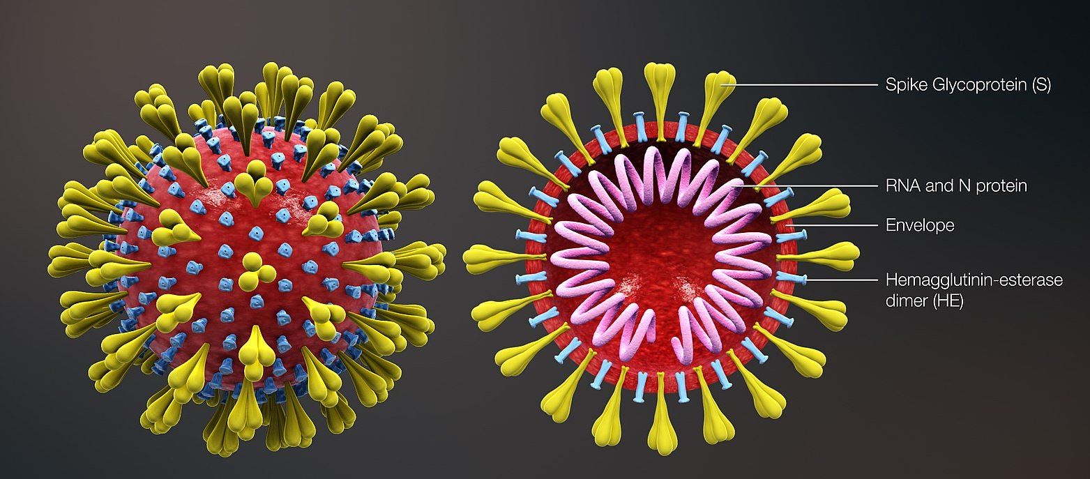 अर्थतन्त्रमा कोरोनाको डरलाग्दो असर