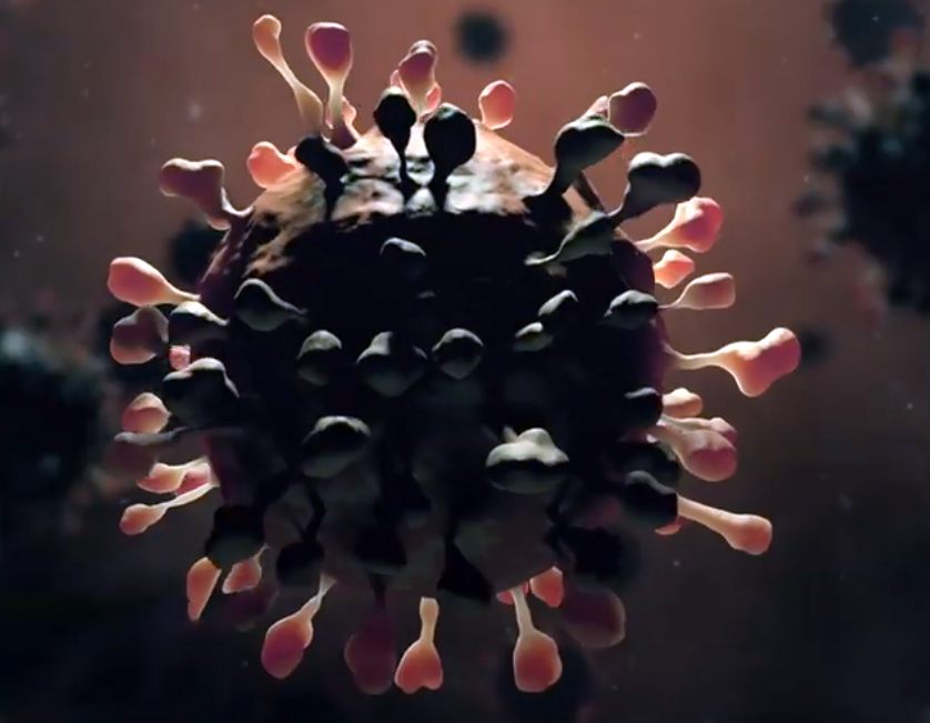 कोरोनाका कारण विश्वभरी ११ लाख तीन हजारको मृत्यु