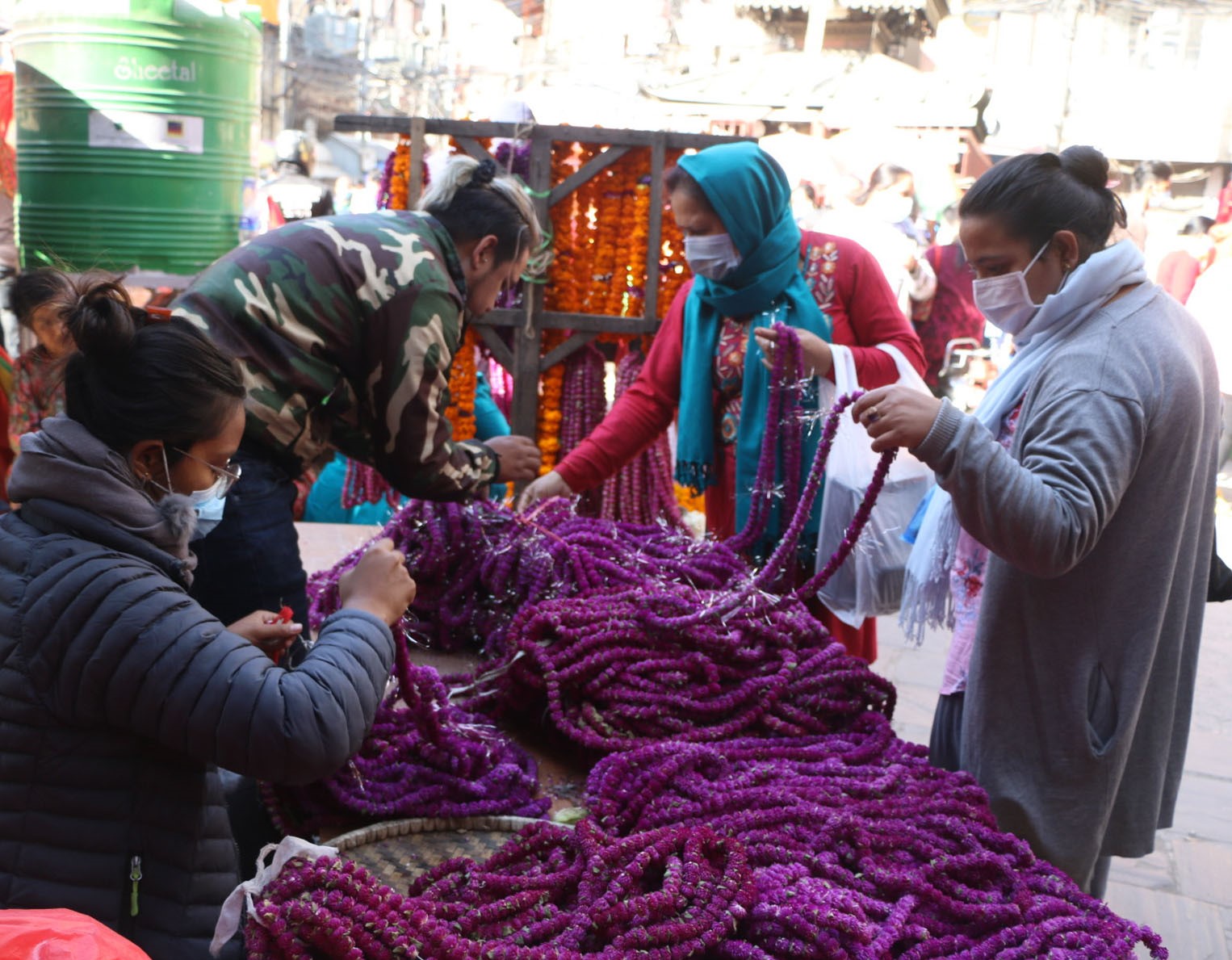 हिन्दुहरूको दोश्रो ठूलो महान चाड तिहारमा दाजुभाइका लागि मखमली फूलको माला किन्दै