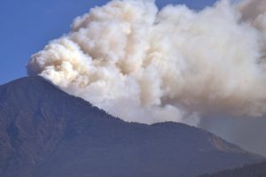 पाथीभरा क्षेत्रको डढेलो कञ्चनजङ्घा संरक्षण क्षेत्रमा प्रवेश