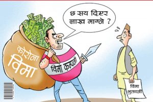 बीमामा ब्रम्लुट