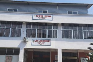 प्रदेश सरकारले ११९ विद्यार्थीलाई प्राविधिक विषय पढाउने