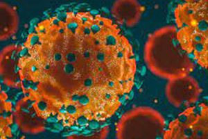 थप दुई लाख ७१ हजारभन्दा बढी कोरोना सङ्क्रमित