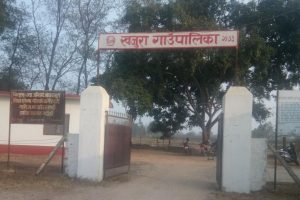 शिक्षामा दशवर्षे योजना बनाउँदै