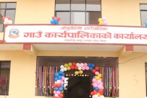 गाउँपालिकाको लगानीले एसइई नतिजा सुधार