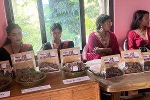 परीक्षा दिएर बसेकालाई  तालिम