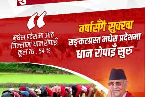 सरकारले तराईमा सिँचाइको स्थायी समाधान खोज्ने