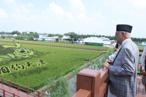 धानमन्त्री ओलीद्वारा धान उत्पादन विशेष क्षेत्रको अवलोकन