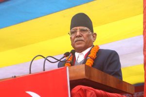 पर्वत दिवसमा संयोजक दाहालको शुभकामना