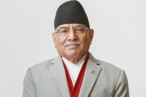 संविधानले विविधतासहितको एकतालाई आत्मसात् गरेको छ : अध्यक्ष दाहाल