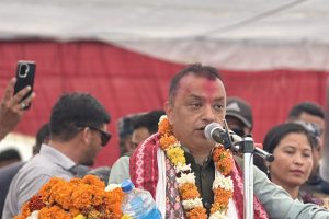 मुलुकलाई दुर्घटनामा पर्न दिन्नौँ : सभापति थापा