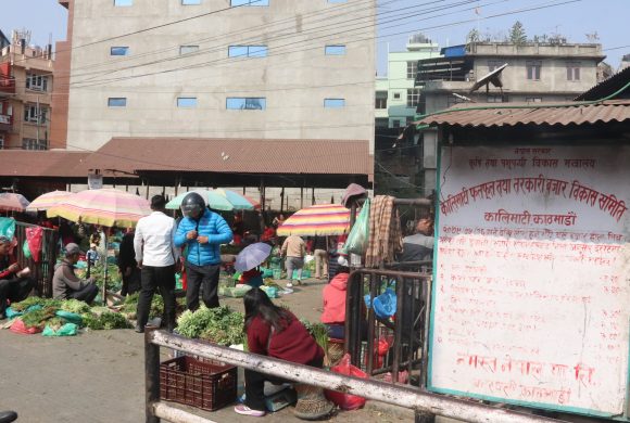 आजका लागि कृषिउपजको थोक मूल्य