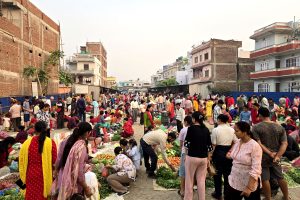 आजका लागि कृषिउपजको थोक मूल्य