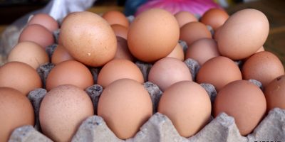 उत्पादनमा कमी आएपछि अण्डाको मूल्य बढ्यो