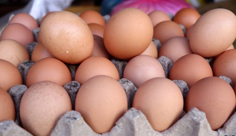 उत्पादनमा कमी आएपछि अण्डाको मूल्य बढ्यो
