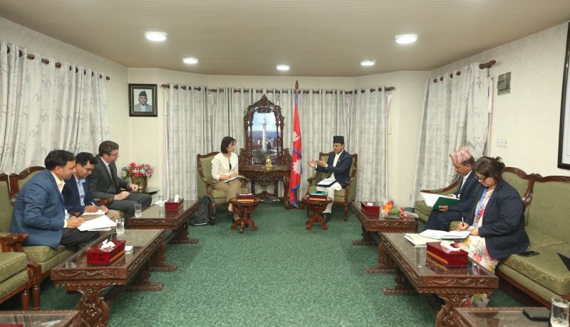 सभामुख अर्यालसँग यूएनडीपी प्रतिनिधिको भेट