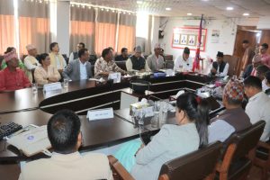 नीति तथा कार्यक्रम तर्जुमाबारे दलहरुसँग छलफल