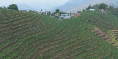 आलुखेतीबाट आत्मनिर्भर बन्दै किसान