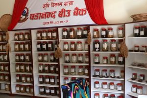 बीउ बैंकमार्फत रैथाने बाली संरक्षण