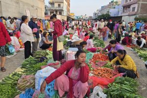 आजका लागि कृषिउपजको थोक मूल्य