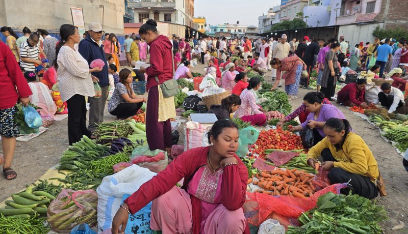 आजका लागि कृषिउपजको थोक मूल्य