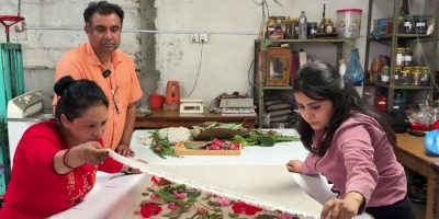 साना तथा मझौला उद्यमलाई सशक्त बनाउन आह्वान