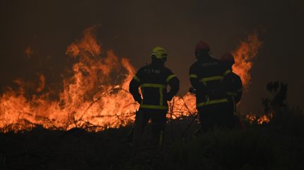 डढेलो फैलिँदा फ्रान्समा दुई लाख पचास हजारभन्दा बढी विस्थापित