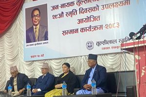 सुशासनलाई सुदृढ बनाउन अग्रजहरूको आदर्शलाई आत्मसात् गर्नुपर्छः पूर्वराष्ट्रपति भण्डारी