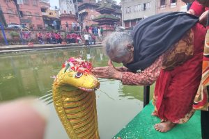 नागको पूजा, आराधना गरी नागपञ्चमी पर्व मनाइँदै