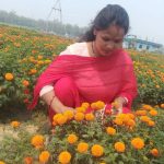 फूलखेतीबाट आत्मनिर्भरसँगै आम्दानी गर्दै धनगढीकी सुशीला