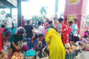 तीजको कोसेलीः कर्णालीको स्याउ