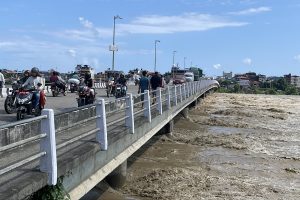 नारायणीको पुलमा ठूला सवारीसाधन सञ्चालनमा रोक