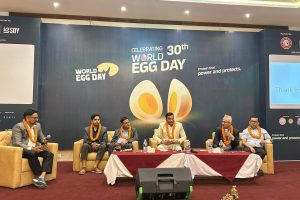 सन्दर्भः विश्व ‘अण्डा’ दिवस, अण्डाको उत्पादन र खपत बढाउन आवश्यक