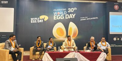 सन्दर्भः विश्व ‘अण्डा’ दिवस, अण्डाको उत्पादन र खपत बढाउन आवश्यक