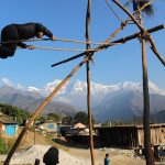 हराउन थाले दसैँका परम्परागत पिङ